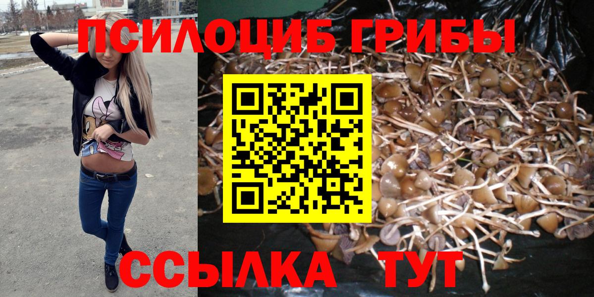 цена наркотик  Галлюциногенные грибы Psilocybine cubensis  Вход с VPN  Заволжье  Псилоцибиновые грибы ЛСД 
