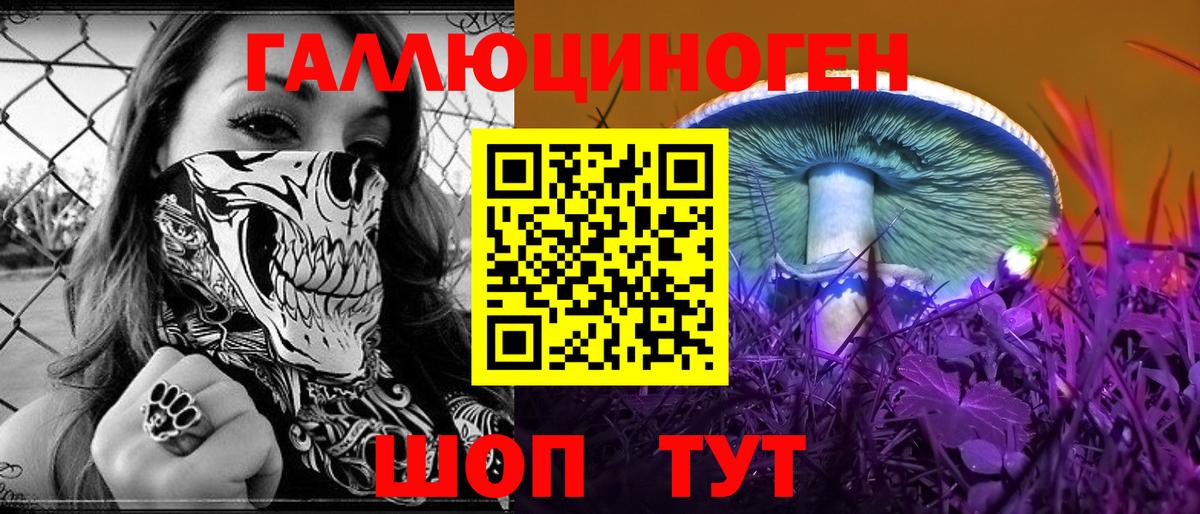 Галлюциногенные грибы MAGIC MUSHROOMS Заволжье